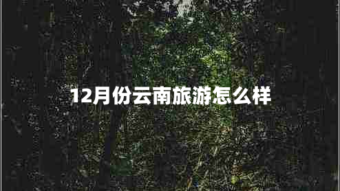 12月份云南旅游怎么樣