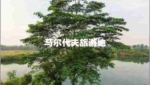 馬爾代夫旅游地