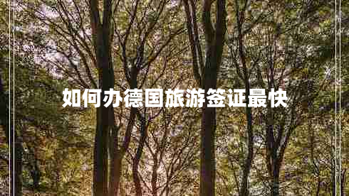 如何辦德國(guó)旅游簽證最快