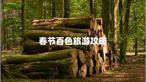 春節(jié)百色旅游攻略