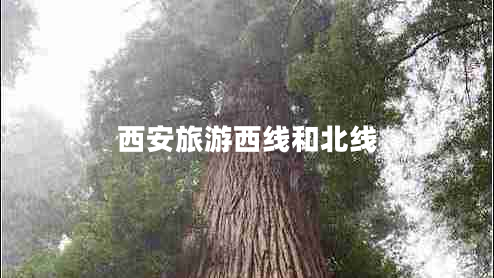 西安旅游西線和北線