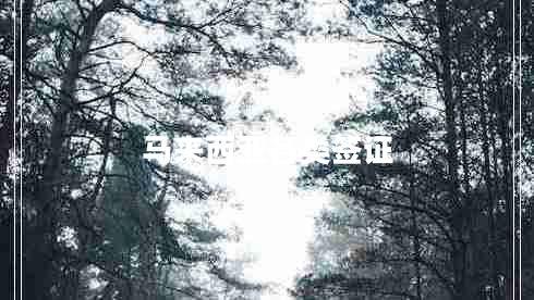 馬來西亞各類簽證