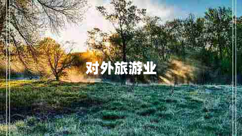對外旅游業(yè)