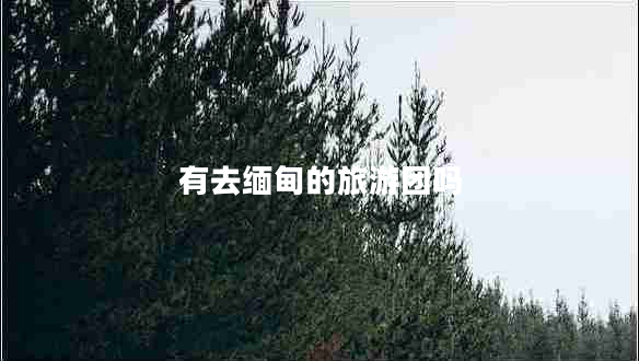 有去緬甸的旅游團(tuán)嗎