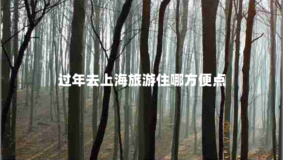 過年去上海旅游住哪方便點 過年去上海旅游住哪方便點