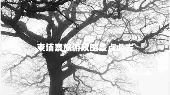 柬埔寨旅游攻略景點(diǎn)必去 柬埔寨旅游攻略景點(diǎn)必去