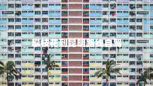 攀枝花到昆明路線自駕 攀枝花到昆明路線自駕