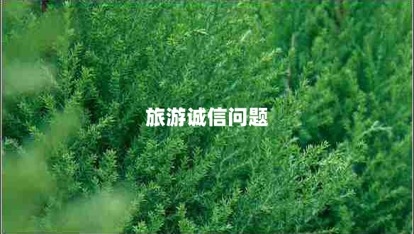 旅游誠信問題 旅游誠信問題