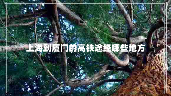 上海到廈門的高鐵途經(jīng)哪些地方