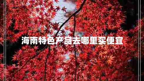 海南特色產(chǎn)品去哪里買(mǎi)便宜