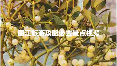 麗江旅游攻略必去景點視頻 麗江旅游攻略必去景點視頻