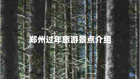 鄭州過年旅游景點(diǎn)介紹