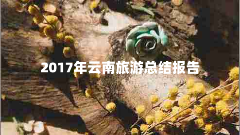 2017年云南旅游總結(jié)報(bào)告