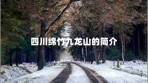 四川綿竹九龍山的簡(jiǎn)介