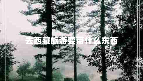 去西藏旅游要帶什么東西