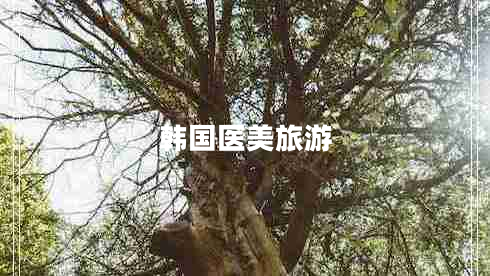 韓國醫(yī)美旅游