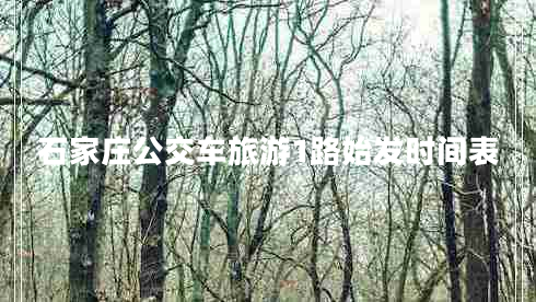 石家莊公交車旅游1路始發(fā)時間表