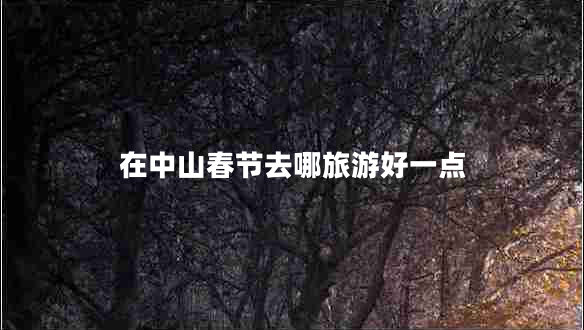 在中山春節(jié)去哪旅游好一點(diǎn)