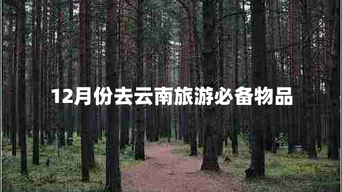 12月份去云南旅游必備物品 12月份去云南旅游必備物品