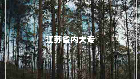 江蘇省內(nèi)大專 江蘇省內(nèi)大專