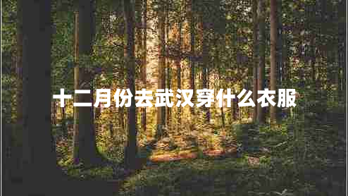十二月份去武漢穿什么衣服 十二月份去武漢穿什么衣服