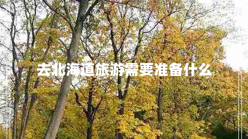 去北海道旅游需要準(zhǔn)備什么
