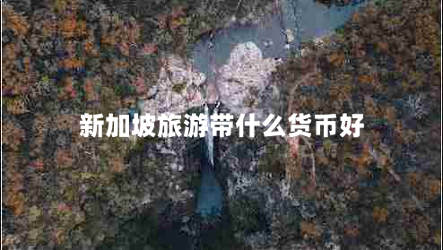 新加坡旅游帶什么貨幣好