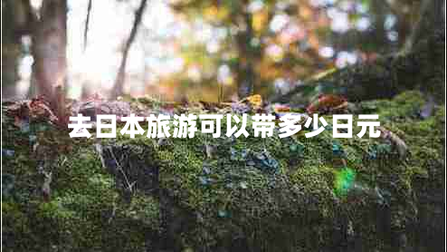 去日本旅游可以帶多少日元 去日本旅游可以帶多少日元