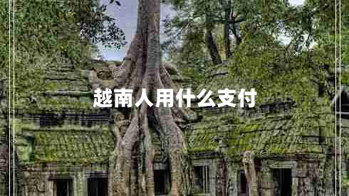 越南人用什么支付 越南人用什么支付