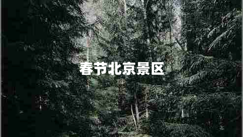 春節(jié)北京景區(qū)