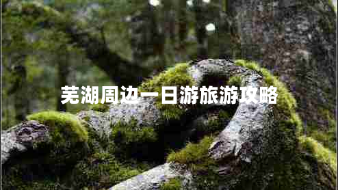 蕪湖周邊一日游旅游攻略