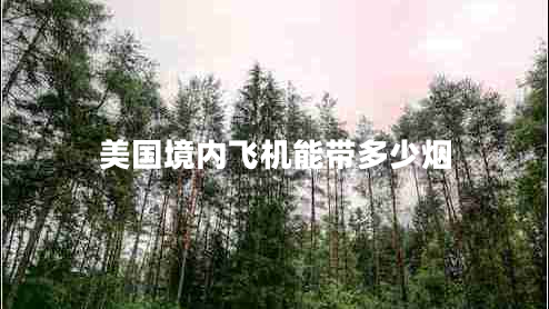 美國境內(nèi)飛機(jī)能帶多少煙