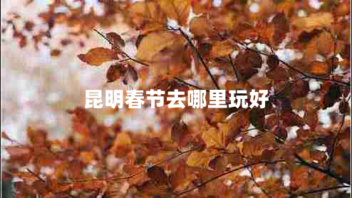 昆明春節(jié)去哪里玩好