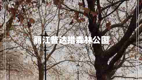麗江普達(dá)措森林公園 麗江普達(dá)措森林公園