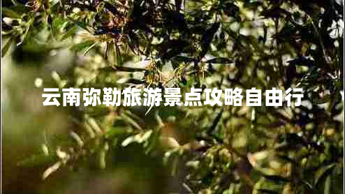 云南彌勒旅游景點攻略自由行
