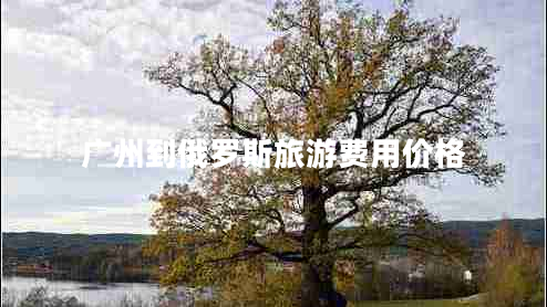 廣州到俄羅斯旅游費(fèi)用價(jià)格