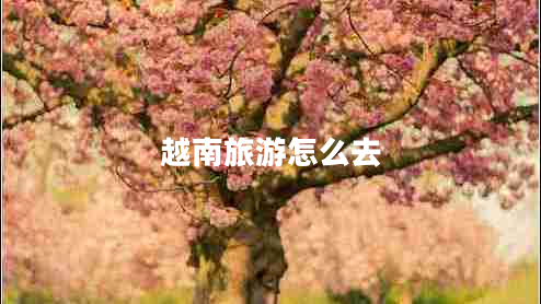 越南旅游怎么去