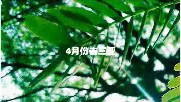 4月份去三亞 4月份去三亞