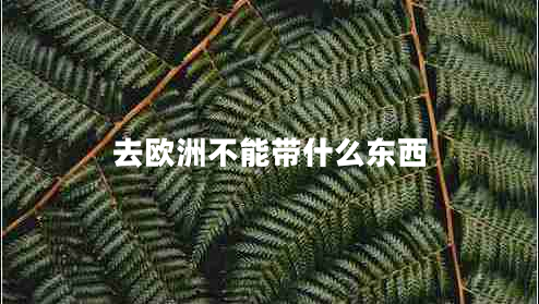 去歐洲不能帶什么東西 去歐洲不能帶什么東西