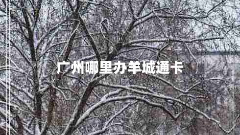 廣州哪里辦羊城通卡