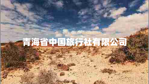 青海省中國旅行社有限公司 青海省中國旅行社有限公司