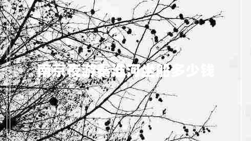 南京夜游秦淮河坐船多少錢(qián)