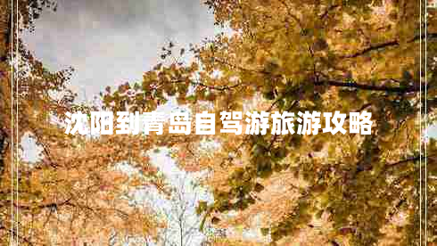 沈陽到青島自駕游旅游攻略