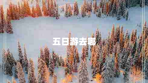 五日游去哪