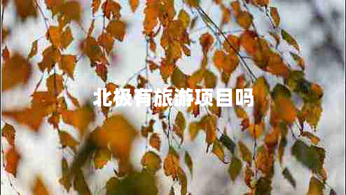 北極有旅游項目嗎