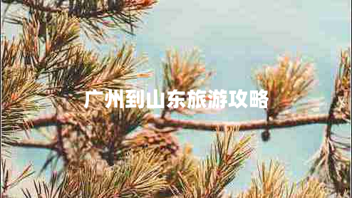 廣州到山東旅游攻略