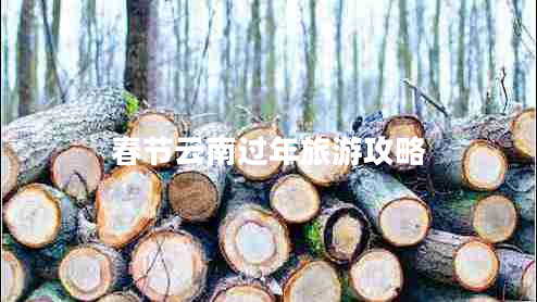 春節(jié)云南過年旅游攻略