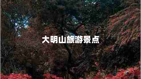 大明山旅游景點