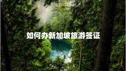 如何辦新加坡旅游簽證