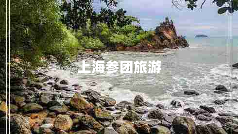 上海參團旅游 上海參團旅游